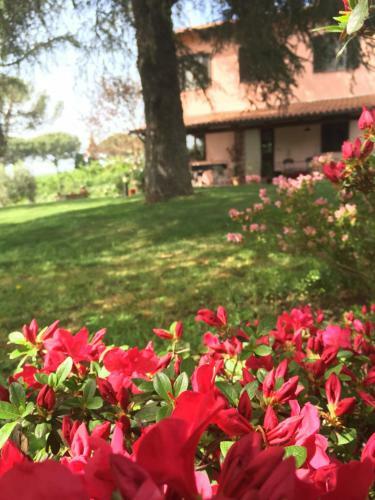 Agroturismo Alloggi Turistici Ai Due Cedri