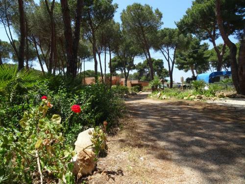 Villaggio Camping Nurral