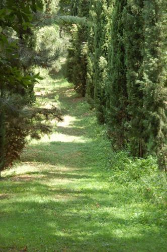Bed & Breakfast La Vecchia Quercia