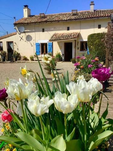 Agroturismo Natura Serena Chambre B&B