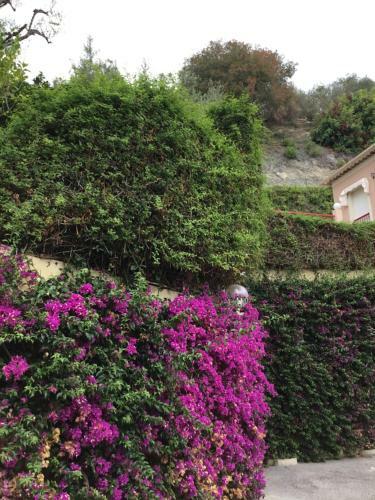 Apartamento Studio Independant Dans Villas, Parking, Piscine, Vue Mer