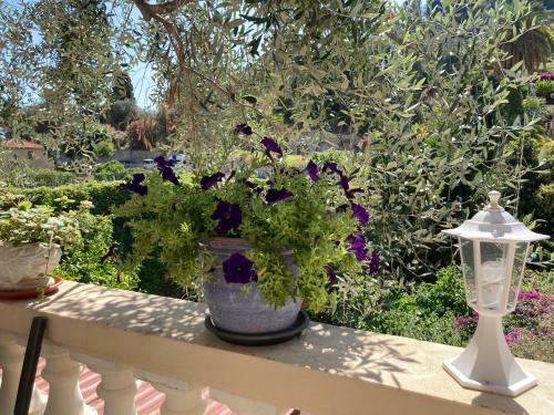 Apartamento Studio Villa La Cigale Avec Grand Terrasse