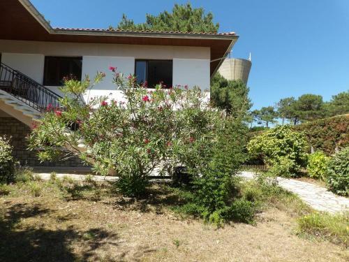 Apartment Doucham�a