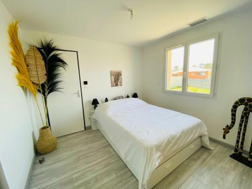 Maison Contemporaine Tout Confort