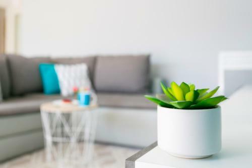 Apartamento Dream Park