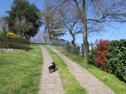 B&B Il Suono Del Bosco