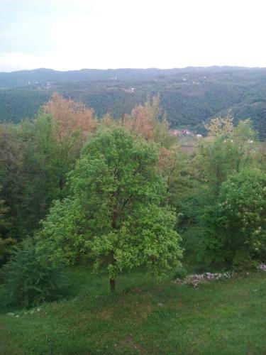 B&B Il Suono Del Bosco
