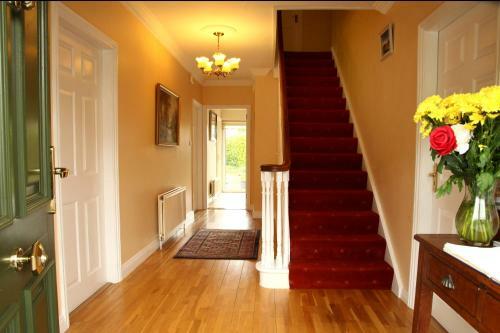 Brooklodge Bed And Breakfast