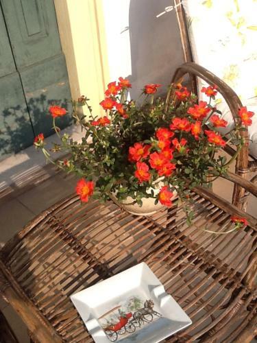 B&B Al Giardinetto