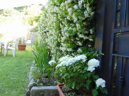 Apartamento Hortus Lake Orta