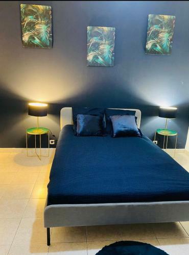 Belle Villa � 5 Mn Du Centre Avec Grd Jaccuzy