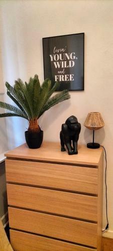 Apartamento Nancy Gare 1 Min � Pied Avec Parking