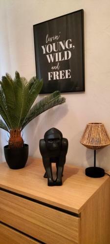 Apartamento Nancy Gare 1 Min � Pied Avec Parking
