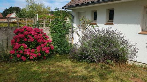 Villa Magnolia - Charmantes Haus An Der Opalk�ste