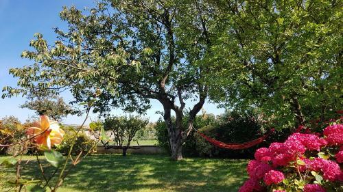 Villa Magnolia - Charmantes Haus An Der Opalk�ste