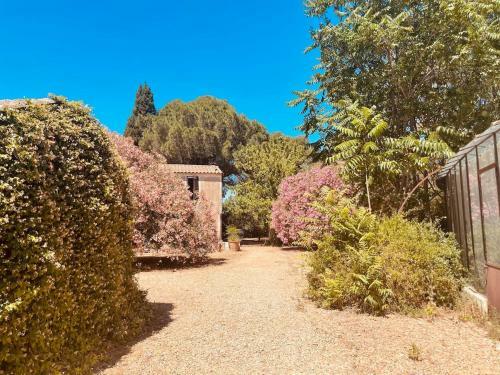Apartamento Casa Les Bambous
