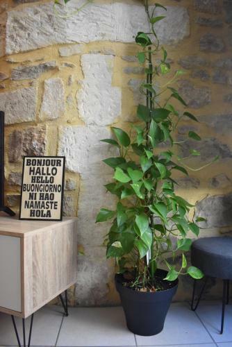 Apartamento T2 Parking Wifi Centre Historique N�mes