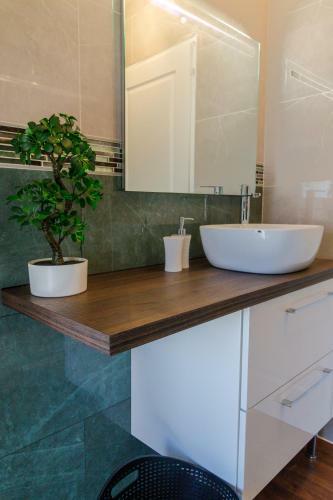 Maison Avec Baln�o � 10min Du Zoo de Beauval