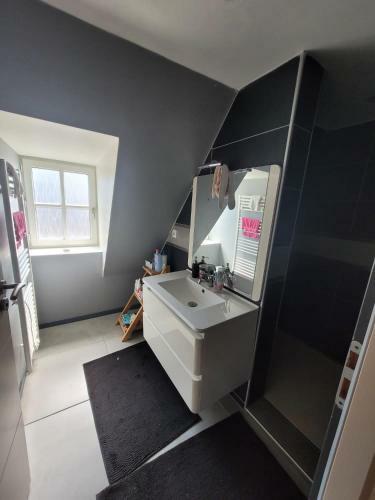 Apartamento Loft Spacieux Et Lumineux