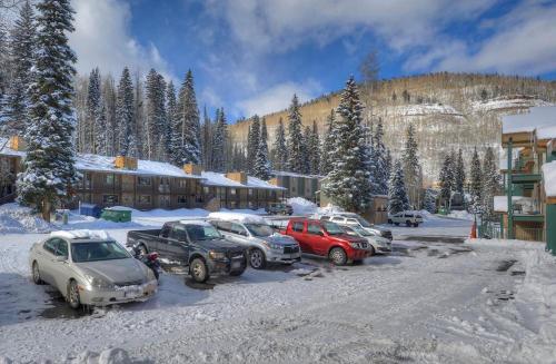 2 Br Purgatory Townhome #101