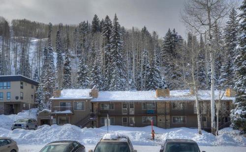 2 Br Purgatory Townhome #101