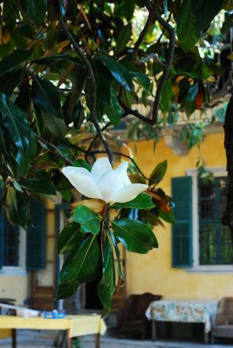 Bed & Breakfast Villa Palmitia