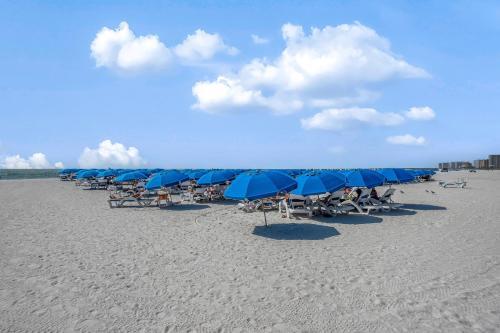 Marco Beach Ocean Resort IV