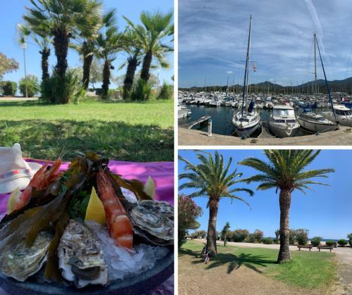 Apartamento R�sidence Parc de La Mer Argel�s Sur Mer