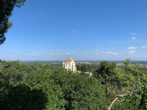 Apartamento R�sidence Parc de La Mer Argel�s Sur Mer