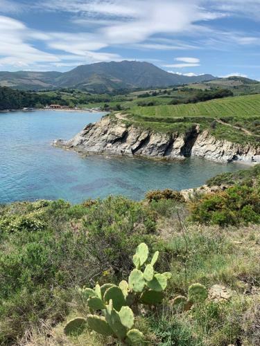 Apartamento R�sidence Parc de La Mer Argel�s Sur Mer