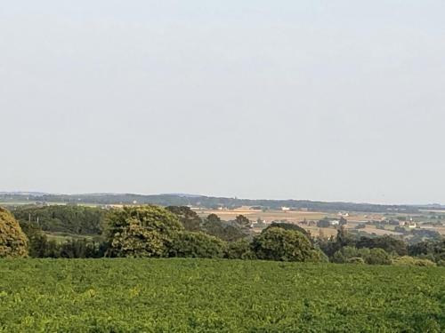 Villa Des 3 Ch�nes
