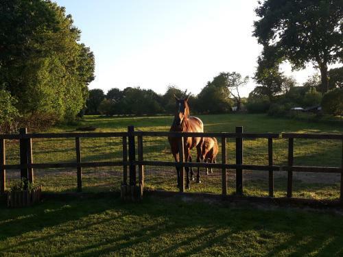 Le Ranch Breton