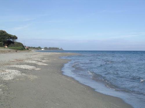 Pied Dan L'eau Moriani Plage Res Alba Serena
