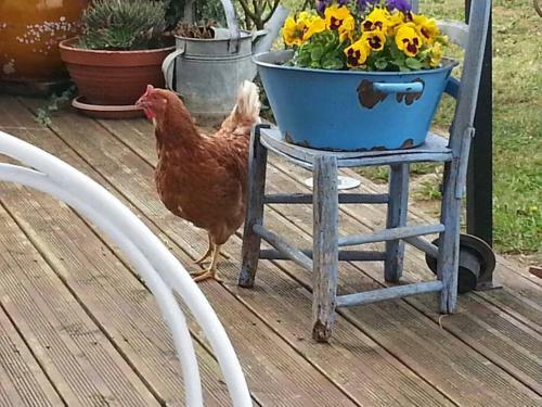 G�te En Pays Cathare