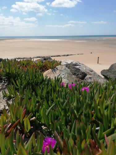 Safred Mobile Home Portbail-sur-mer