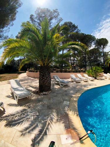 Exceptionnel Villa Venica Entre Cannes And Saint Tropez