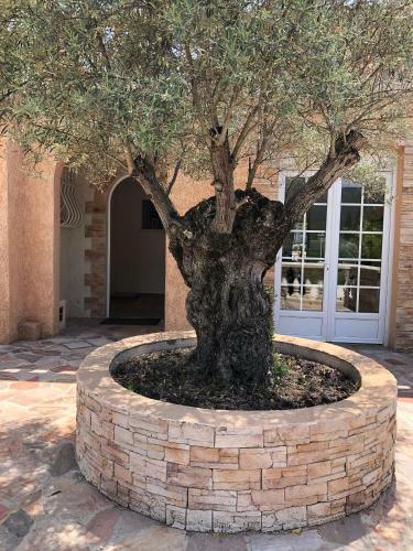 Exceptionnel Villa Venica Entre Cannes And Saint Tropez