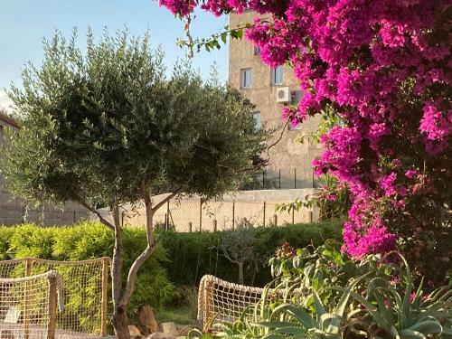 Hostal Casa Santa Giulia Propriano