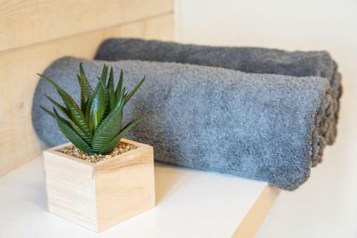 Apartamento Oo Le Jardin Oo Paisible Studio �quip� Et Bien Plac�