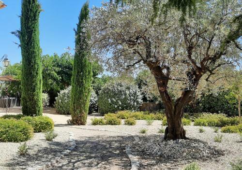 Apartamentos Echapp�e En Provence Appartement Mont Mirail