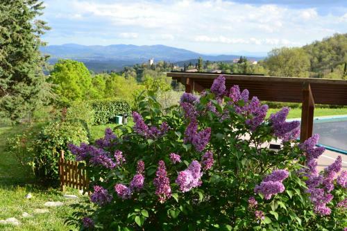 Bed & Breakfast Piccolo Ulivo Ranch