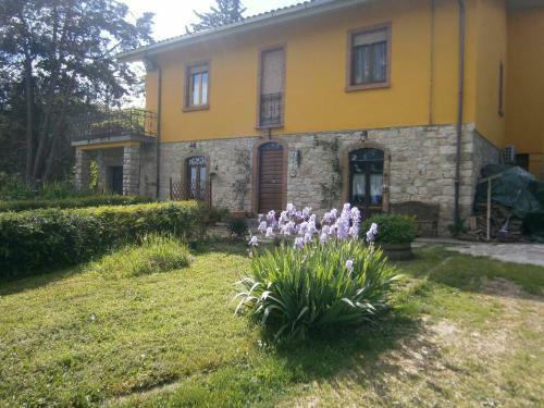 Bed & Breakfast Piccolo Ulivo Ranch