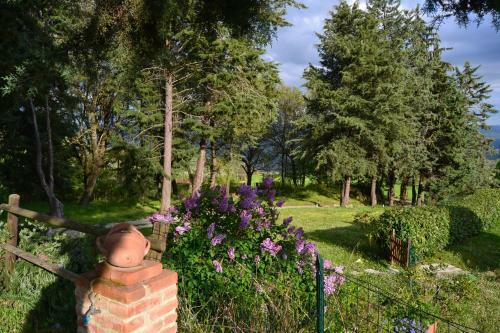 Bed & Breakfast Piccolo Ulivo Ranch