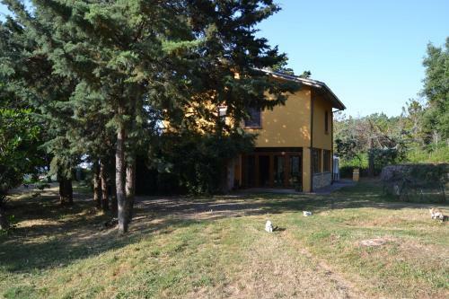Bed & Breakfast Piccolo Ulivo Ranch