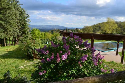 Bed & Breakfast Piccolo Ulivo Ranch