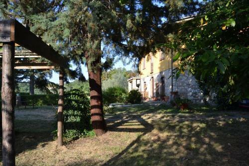 Bed & Breakfast Piccolo Ulivo Ranch