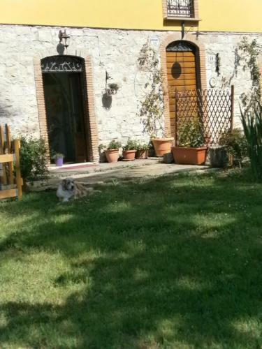 Bed & Breakfast Piccolo Ulivo Ranch