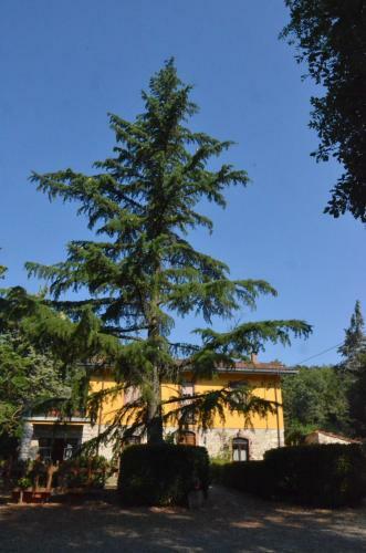 Bed & Breakfast Piccolo Ulivo Ranch