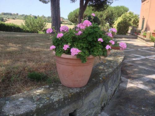 Bed & Breakfast Villa La Cerretana
