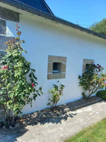 Maison De L?�cluse